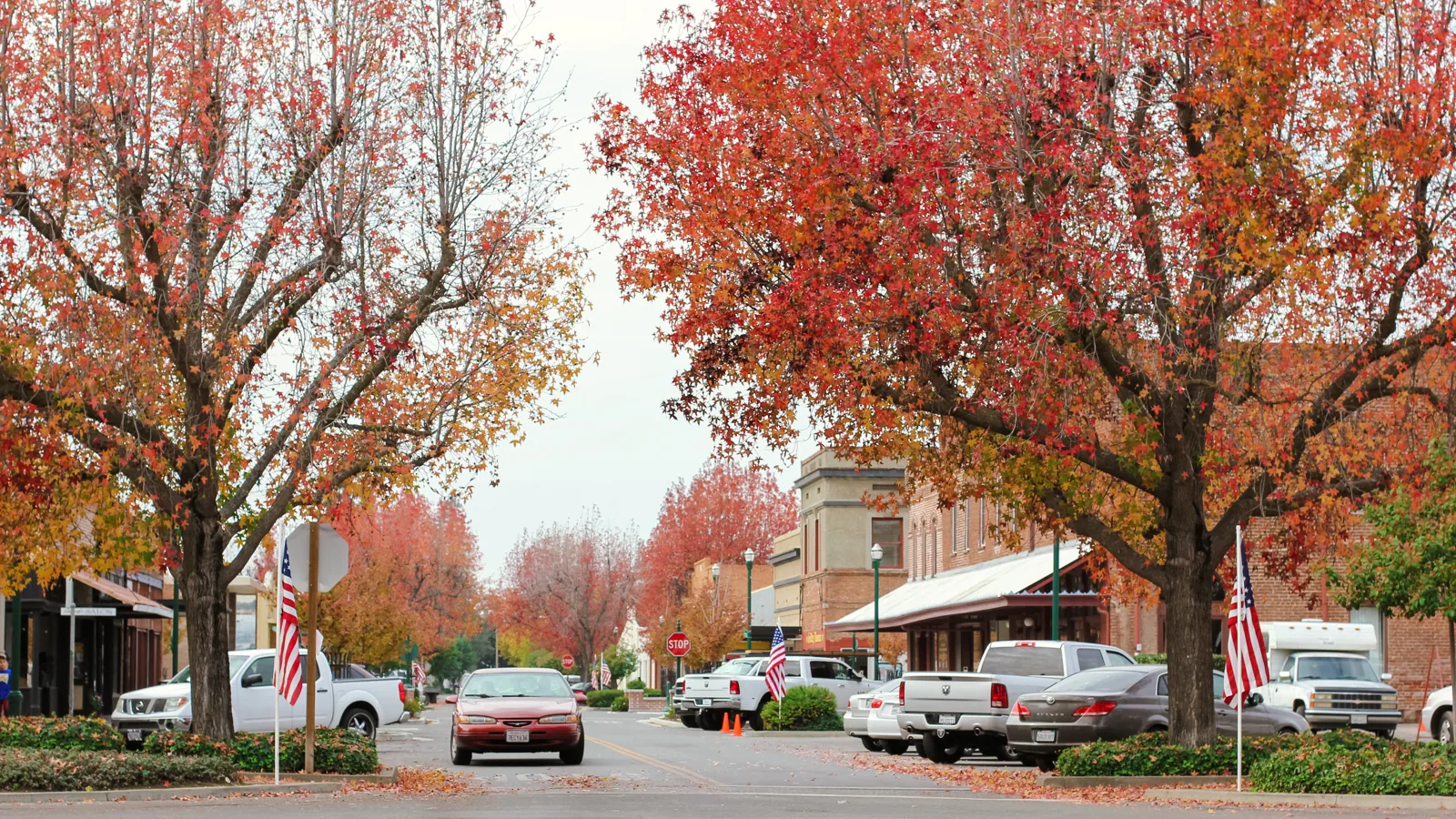 Commercial Roofing in Gridley, CA